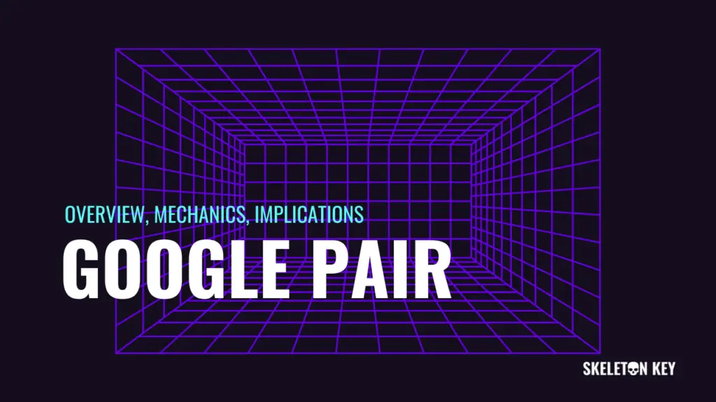 Google PAIR